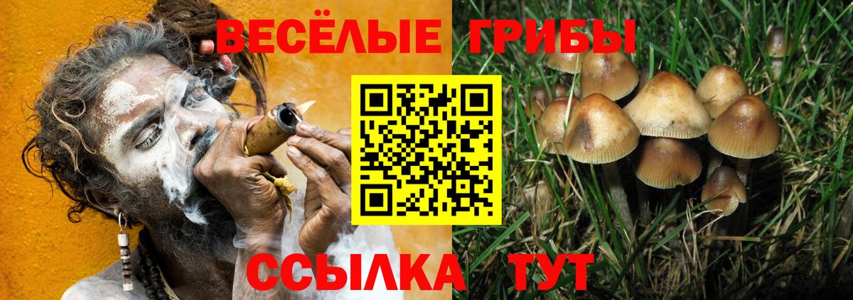 Галлюциногенные грибы Cubensis  Галлюциногенные грибы мухоморы  Семёнов  Вход с VPN 